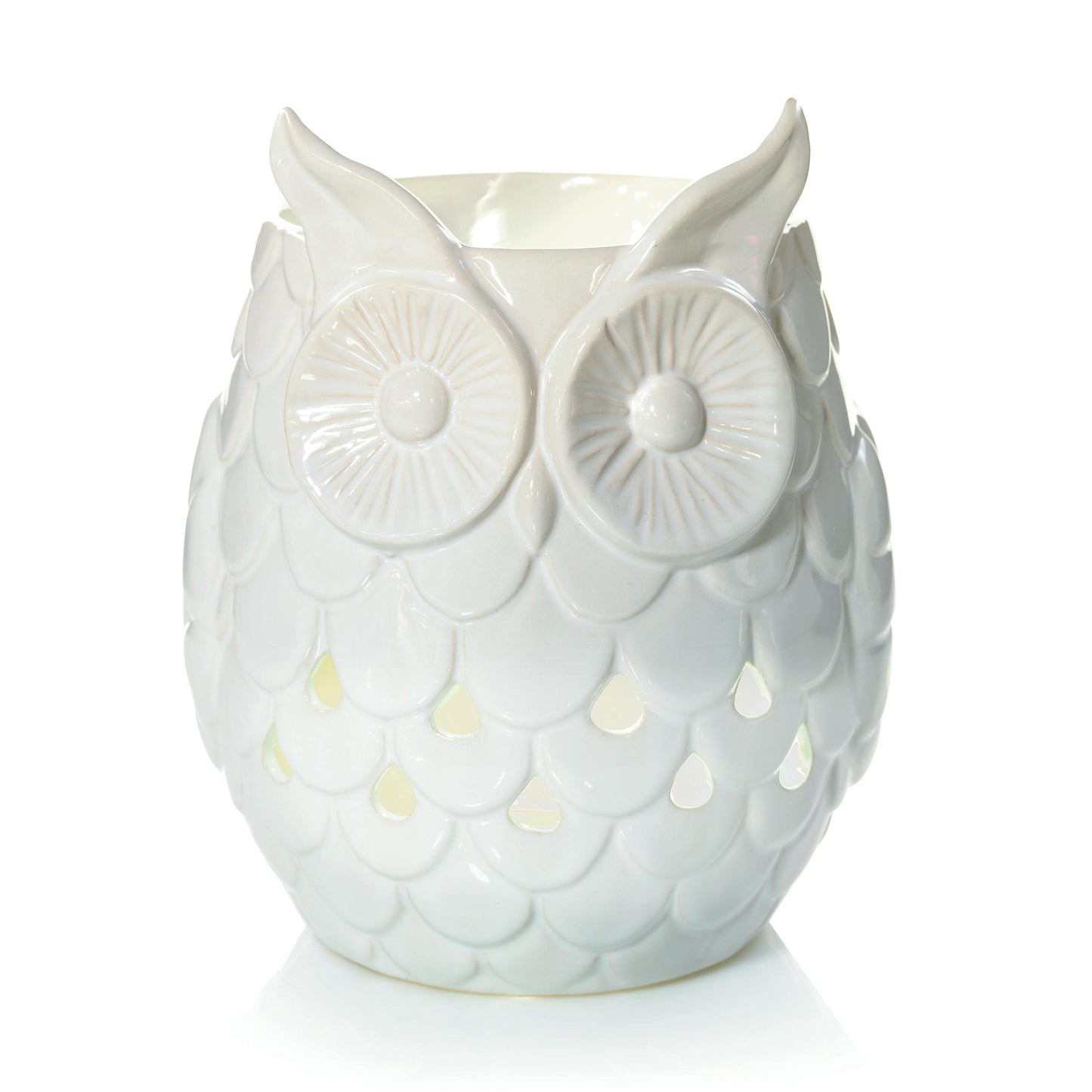 Owl VBLW