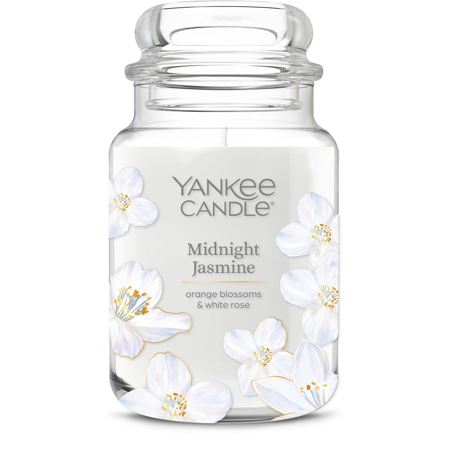 Midnight Jasmine ZJLB