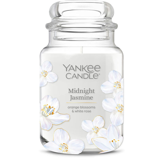 Midnight Jasmine ZJLB