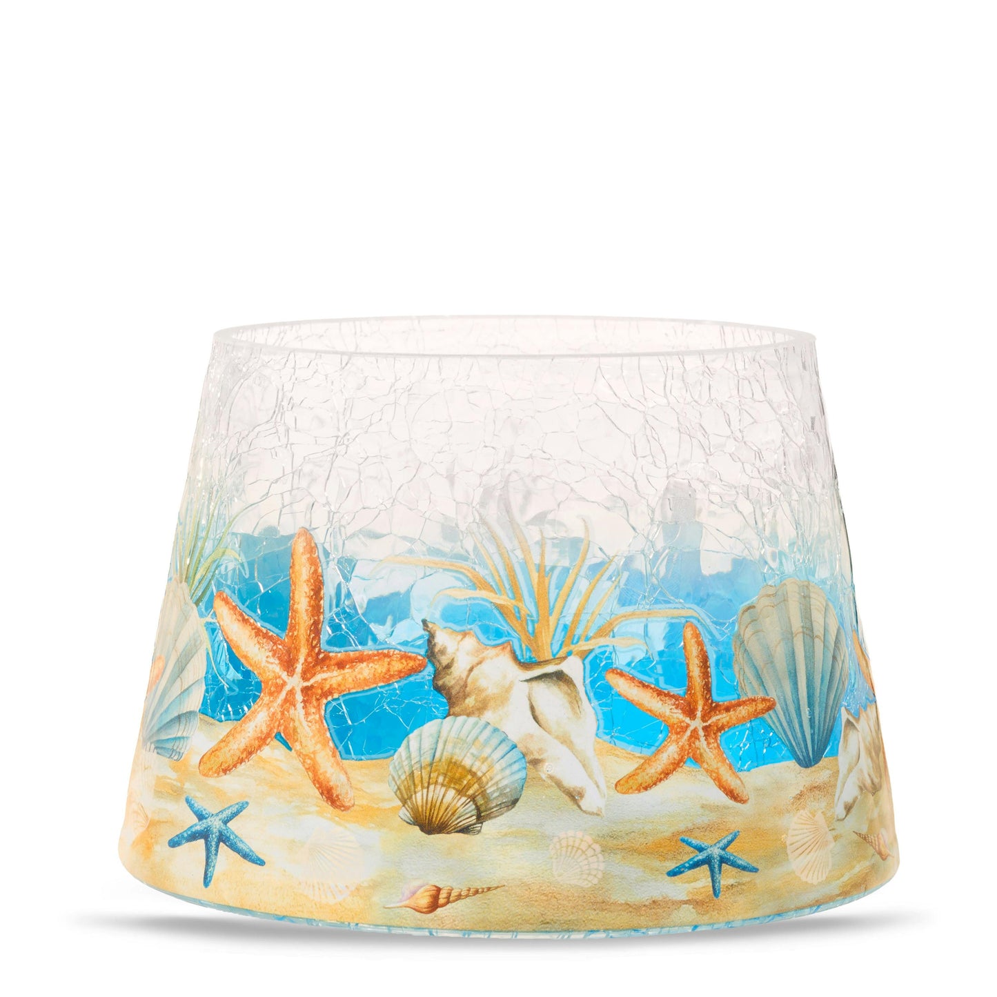 Seashell Jar Shade 3G4B