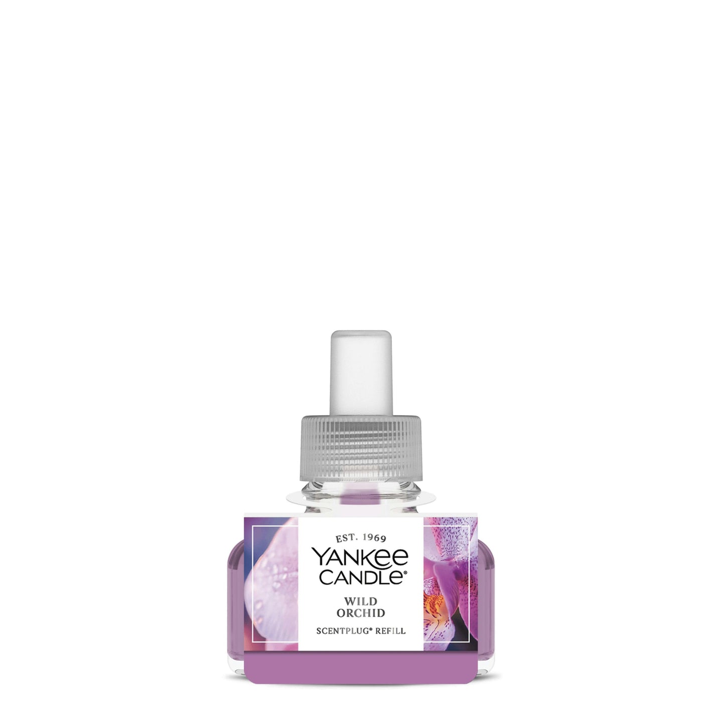 Wild Orchid (S3B6J)