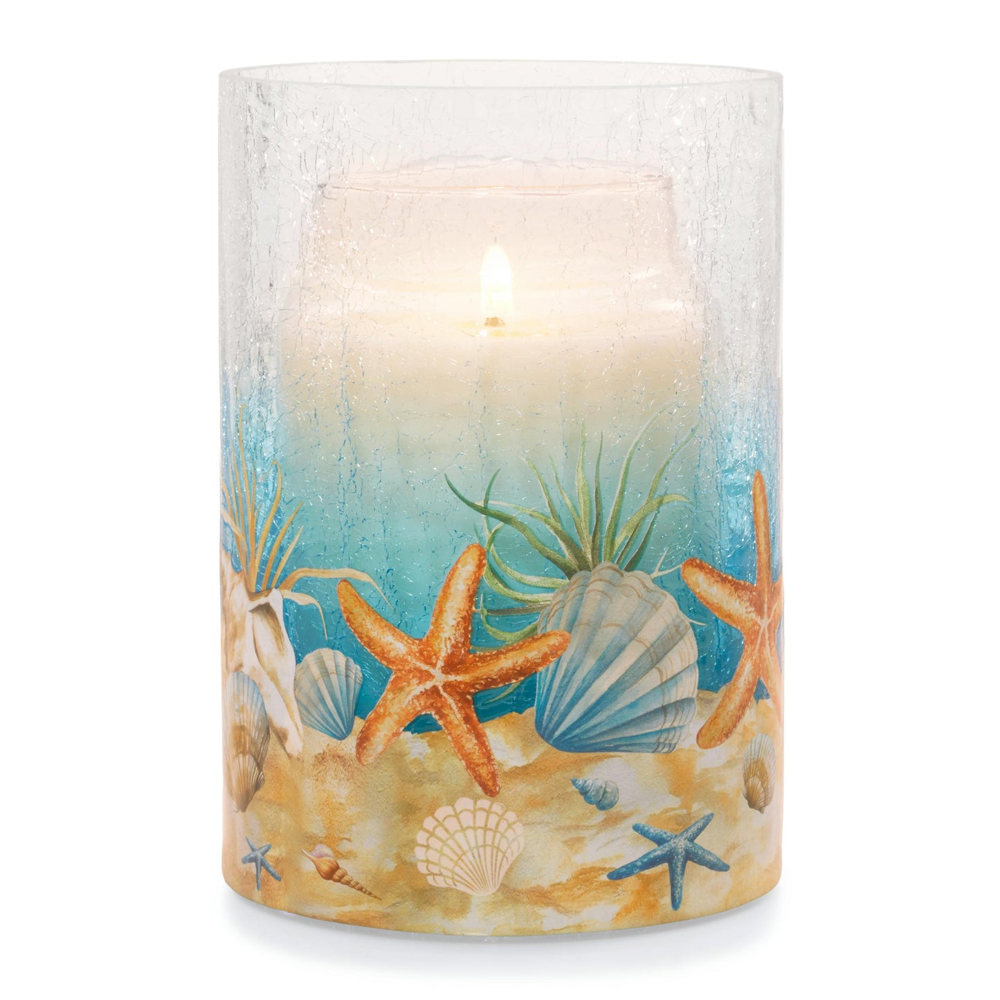 Coastal Jar Candle Holder 4J8T