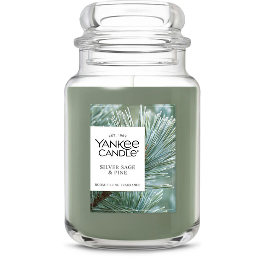 Silver Sage & Pine 6SCX
