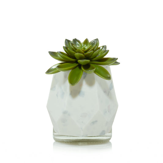 Faceted Succulent ScentPlug® Diffuser with Light V1V7