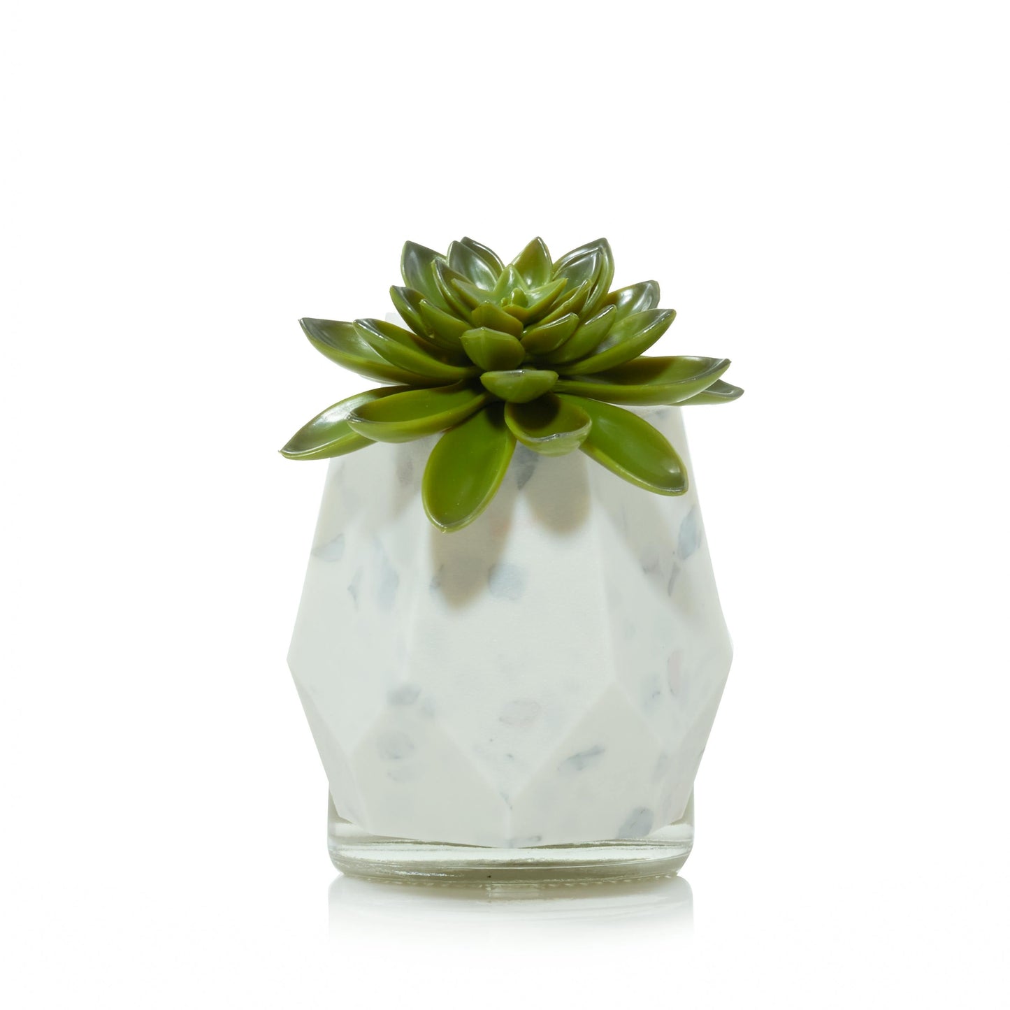Faceted Succulent ScentPlug® Diffuser with Light (S3ZV2)